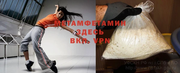 шишки Верея