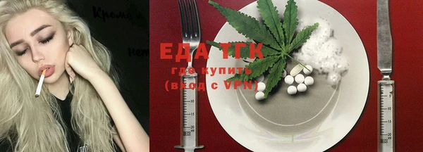 шишки Верея