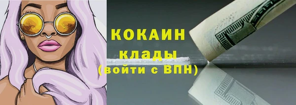 шишки Верея