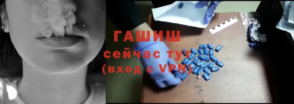шишки Верея