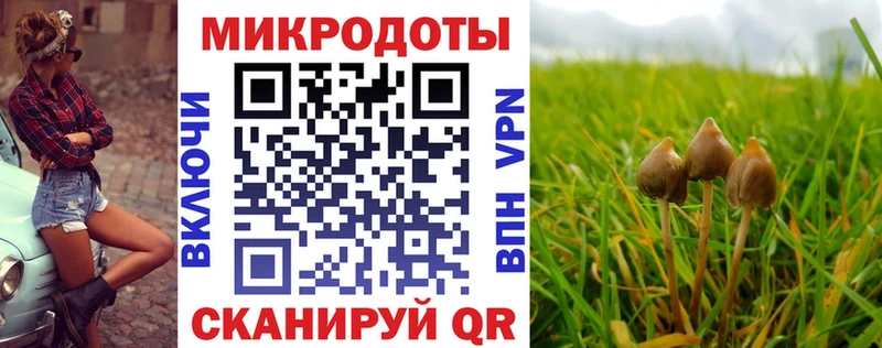 хочу   Ессентуки  Псилоцибиновые грибы прущие грибы 
